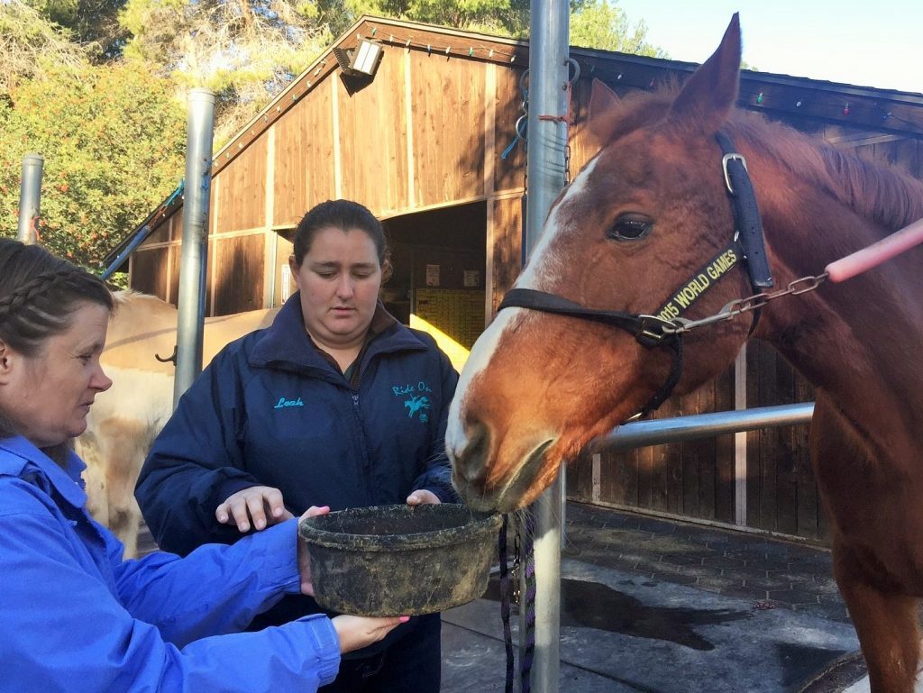 Jennifer offering a black bucket of feed to a horse at a ranch