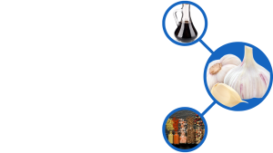 bubble map of vinegar, garlic, and nuts and spices