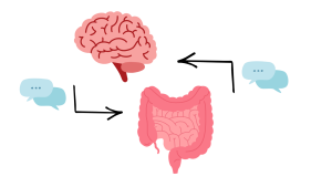 clip art depicting the brain communicating with the intestines via chat bubbles