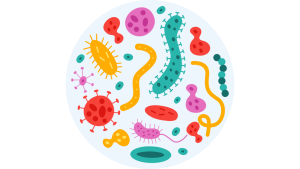 clip art of many different shaped and colored bacteria needed for a healthy gut