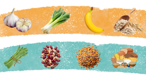 clip art of prebiotic rich food examples to support a healthy gut