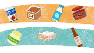 clip art of probiotic rich food examples to support a healthy gut