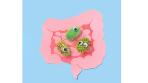 clip art of a healthy gut with good bacteria represented by fuzzy balls with googly eyes