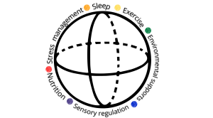 Graphic showing the elements that go into managing autism and nutrition including: 'Sleep, Exercise, Environmental Supports, Sensory Regulation, Nutrition, and Stress Management'