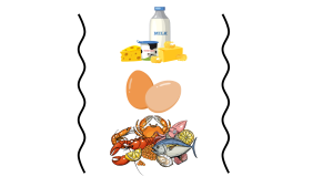 An illustration of three items listed on top of each other. The first being dairy products such as milk and cheese. Right below is an iluustraion of eggs. Lastly is and illustraion of a variety of seafood including crab, fish, and lobster
